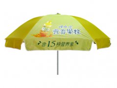 太陽大（dà）傘YL-T001