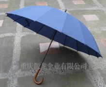 高爾夫傘YL-G9102