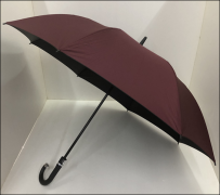 高爾夫傘（sǎn）YL-106E