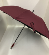 高爾夫傘YL-6919