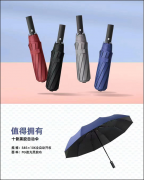 三折傘YL-A3020