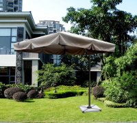 羅馬傘香（xiāng）檳色